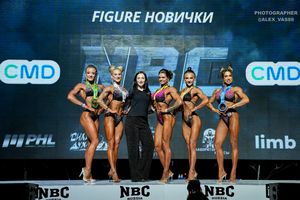 FIGURE НОВИЧКИ